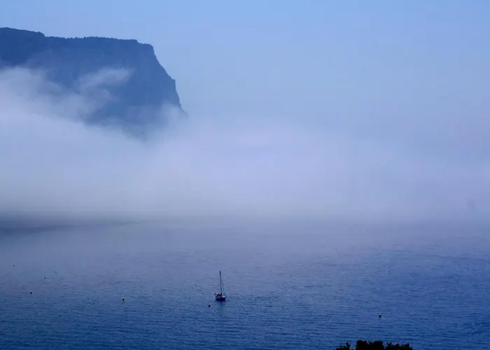 Picouveau * Cassis